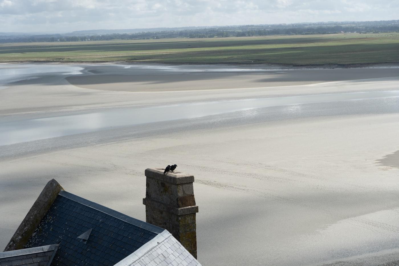 A sandy landscape with a stone structure and birds