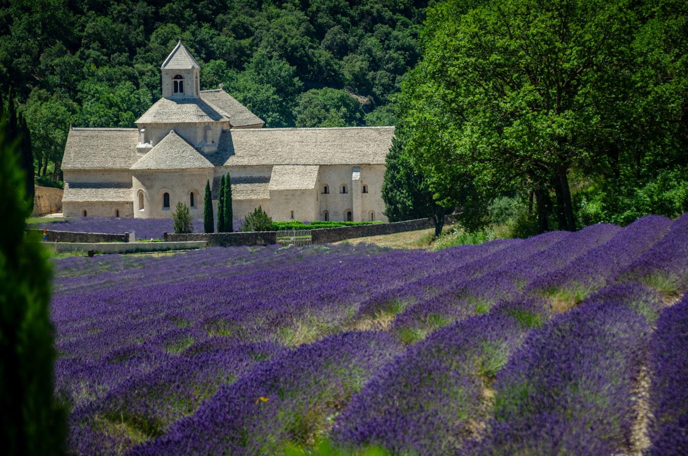 Provence destination wedding · Nice — 5