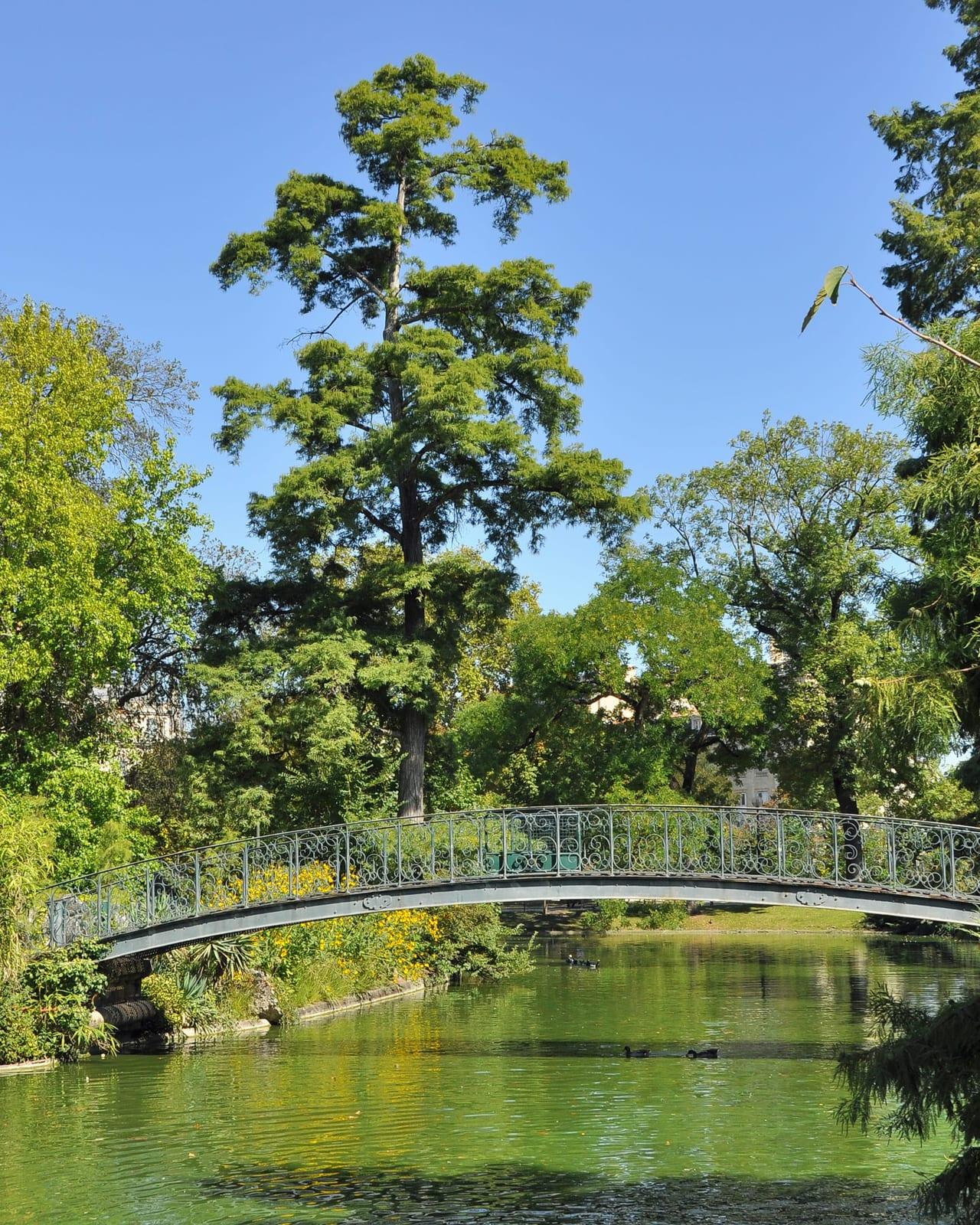 An iron footbridge over the pond in the public garden